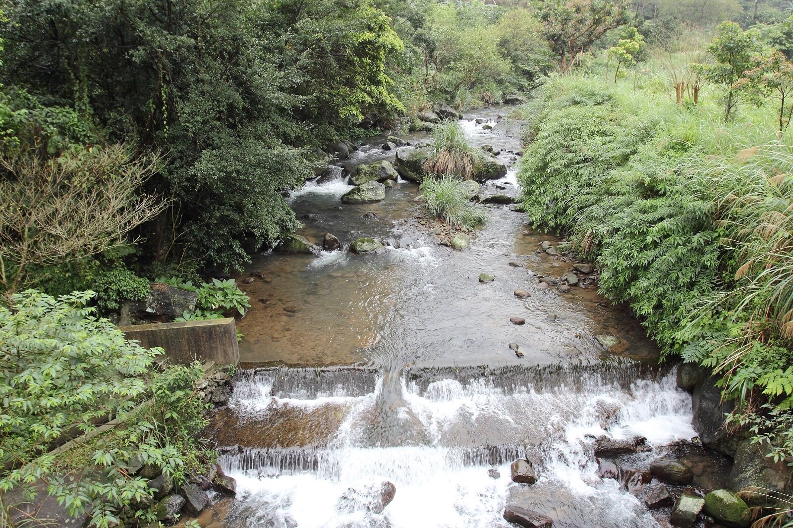 萬里區員潭溪流域即起開始封溪護漁。圖／新北市農業局提供