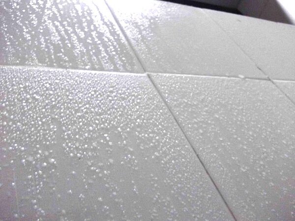 居家環境太過潮濕,讓牆面磁磚淚流不止。圖/取自instagram@winki_kiki