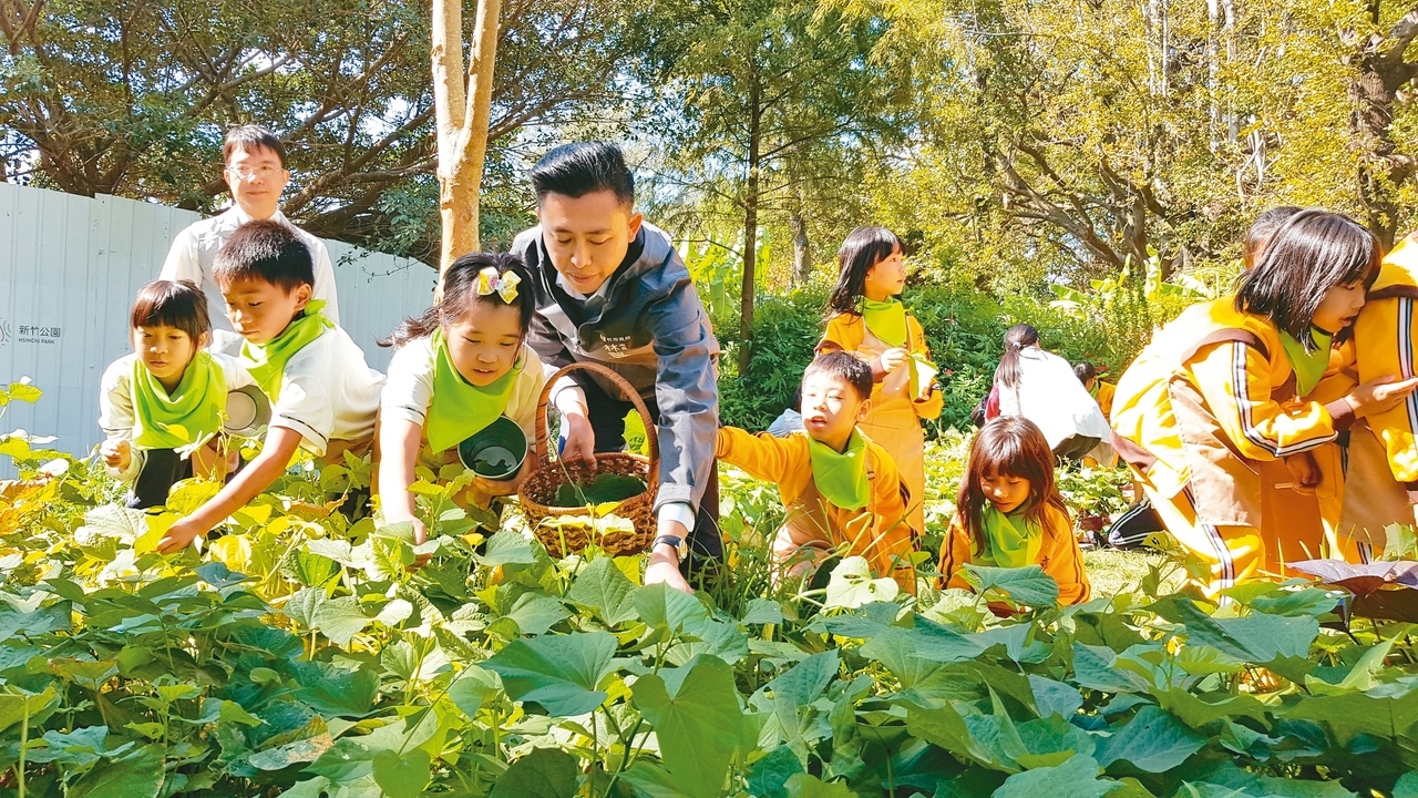 新竹市長林智堅與小朋友在食物森林摘地瓜葉，餵食黑肚綿羊。 記者黃瑞典／攝影