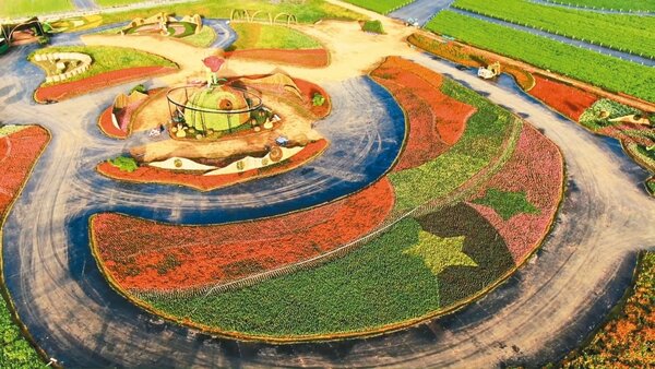 新社花海與台中花毯節11月9日開幕，美麗的花卉地景吸引空拍玩家朝聖。 圖╱林忠瑋提供