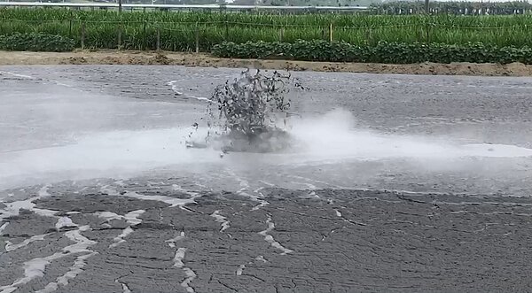 屏東縣萬丹泥火山繼今年7月初後，6日晚間二度噴發，滾滾泥漿從地底湧出，導致周邊農田「寸草不生」。記者江國豪／攝影