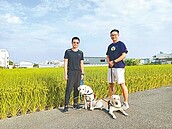 導盲犬寄養家庭　南投僅1家 盼民眾加入