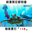 小琉球海龜愛上鏡　海巡署提醒潛客莫情不自禁