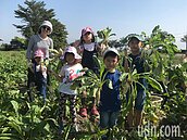 嘿唷拔蘿蔔　美濃白玉蘿蔔有教戰手冊