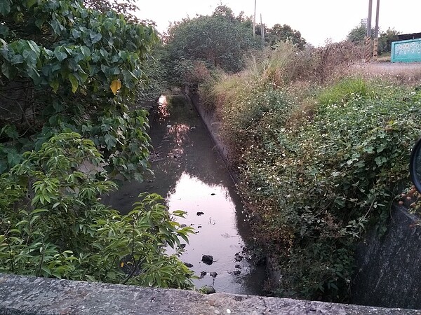 六腳大排水溝原為土製河道，民眾擔心下大雨會容易潰堤，導致淹水。圖／記者陳玫伶攝影