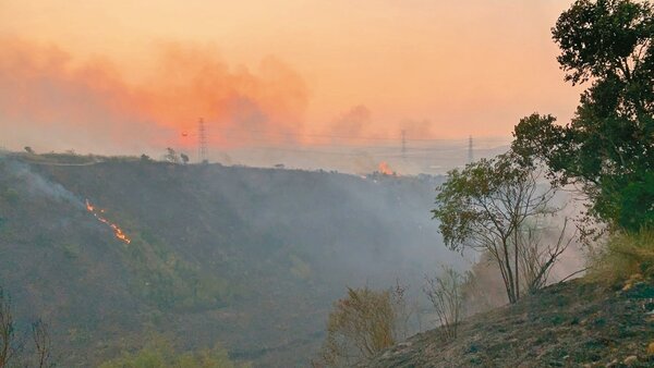 大肚山火燒山最近3天2起，蔓延數公頃；學者建議開闢防火帶、復育森林阻絕火勢。 圖／台中市消防局提供