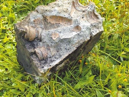 黃姓男童3年前參加安親班戶外教學，他撿拾農場內水泥磚架起爐灶野炊，竟被水泥磚炸傷頭部，家屬認為該農場前身是陸軍司令部管理的彈藥庫，所以請求國家賠償，一審遭駁回，但高院認為，陸軍司令部未將用水泥固封的廢棄彈藥投海處理致意外發生，逆轉判賠354萬元。全案可上訴。圖／中時資料照）