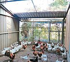 雞舍設備機房　免房屋稅