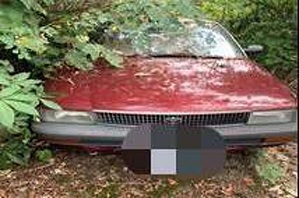 家住高雄市左營區的林姓男子開車上車,車子停放偏遠山徑,花了一個月時間才找到車。記者徐白櫻/翻攝