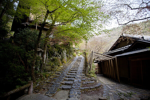 春天的新綠映照在老房子上，有著一種意外的平衡感（圖／Joel FUKUZAWA）