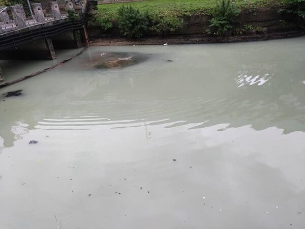 基隆西定河混濁變色，環保局表示為家庭汙水排入，魚群沒死。圖／里長陳世豐提供