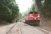 搭阿里山林鐵　旅讀林業風華