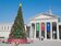 奇美博物館「幸福聖誕樹」登場　吸引遊客拍照打卡
