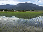 誰是大地主？這縣市持有90坪以上土地占比最高