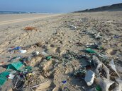 不要到加勒比海度假！黃金海岸　已淪塑膠垃圾天堂