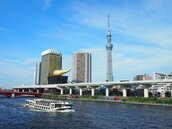 新冠肺炎重創日本旅遊業　部分飯店訂房量銳減90％
