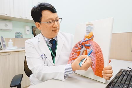 亞大醫院胸腔外科主治醫師劉柏毅在肺部模型上指出李婦病灶位置。（林欣儀攝）