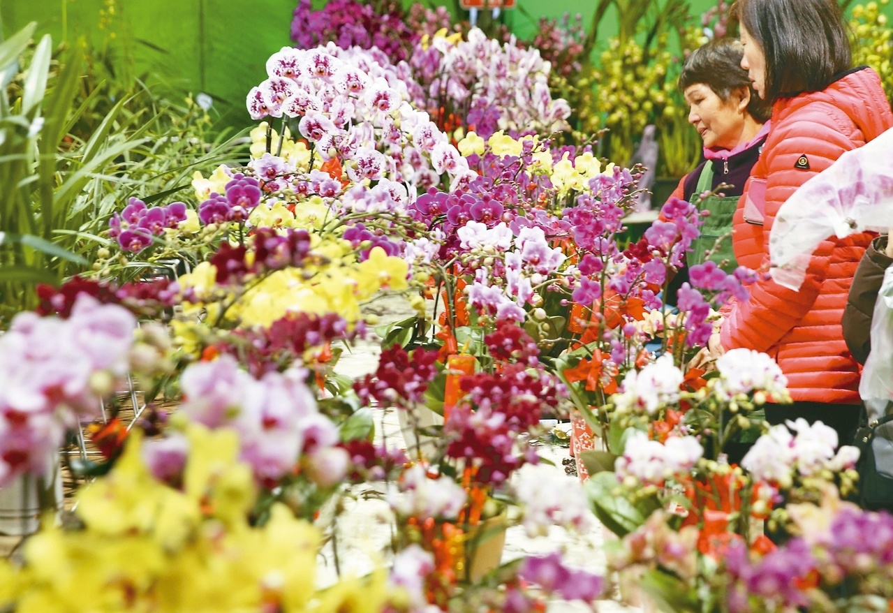 	國內的花卉外銷市場以外銷日本為最大宗，近期空運費大漲，業者苦不堪言。 圖／聯合報系資料照片