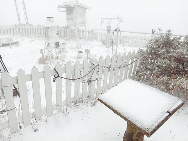 玉山主北峰28日上午降雪，成為銀白世界。圖／玉管處提供