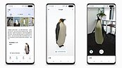 待在家太無聊？透過Google搜尋把家中變成AR虛擬動物園