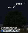 天文館：金星今、明與七姊妹相會　錯過再等8年