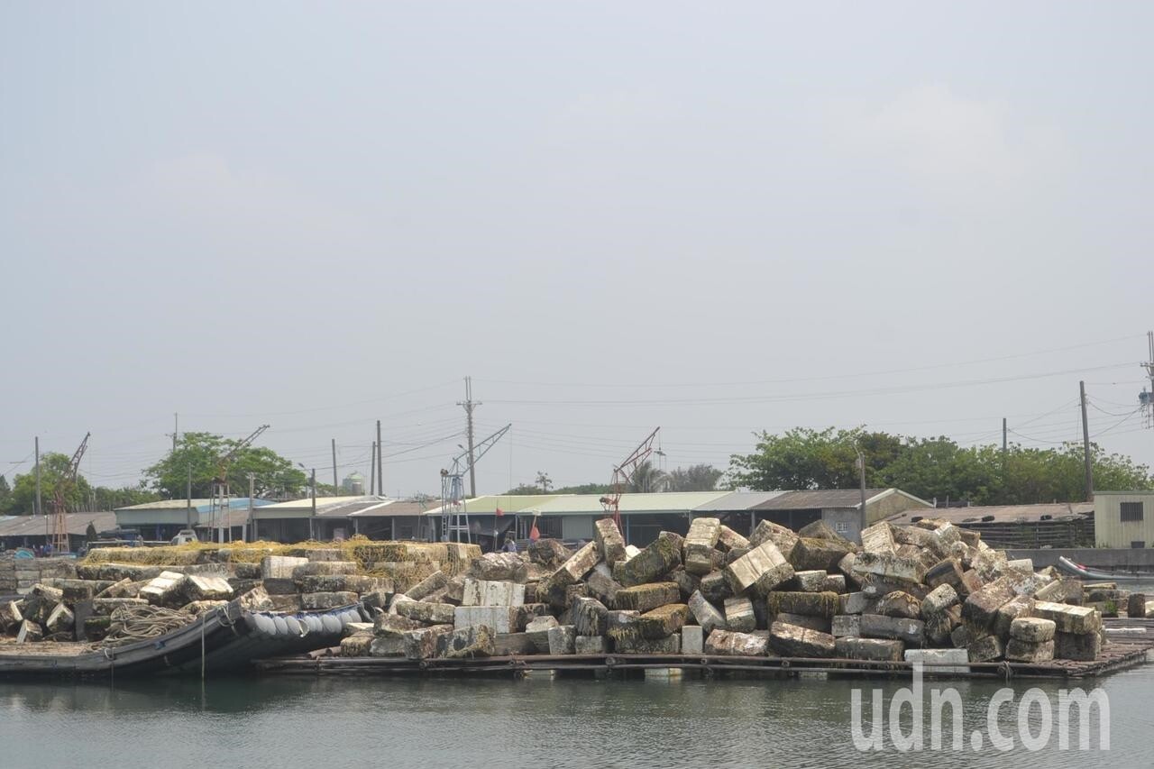 蚵棚的浮具保麗龍，堆置在漁港，等待年底再用或回收。記者鄭惠仁／攝影
