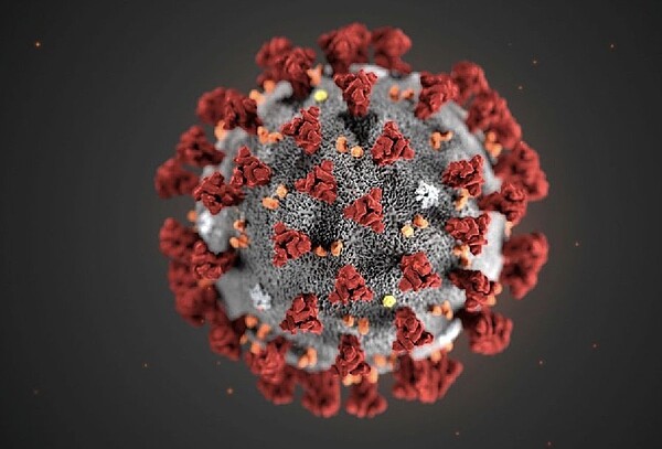 新冠肺炎病毒全球肆虐。圖／本報資料照片