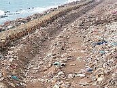 歷經近2年　「最毒海岸線」上萬噸毒垃圾清光光