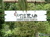 悠活「阿信農場」也爆濫墾　害居民家淹水