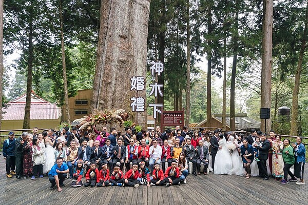 圖/阿里山國家風景區管理處提供