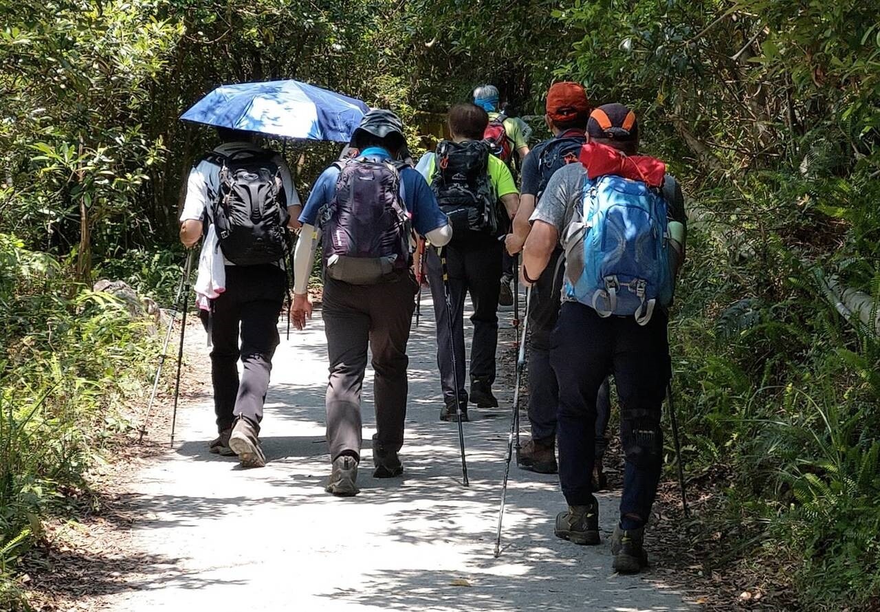 前往聖母山莊抹茶山的人潮絡繹不絕，一個接著一個，走也走不快，被網友笑稱是「聖母山莊進香團」。記者戴永華／攝影