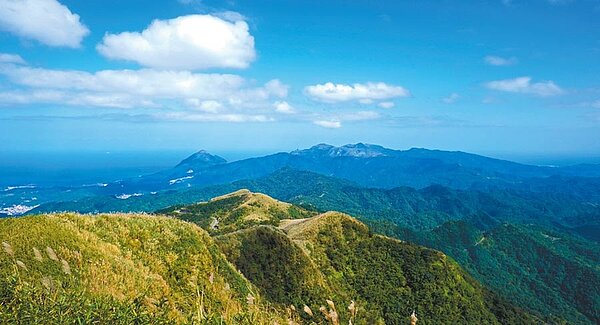藍天碧雲綠樹搖曳,人與環境間的關係愈友善,我們遭到大自然反撲的機率就愈小,從掃除空汙開始著手,還給天空原來的顏色。圖/王爵暐攝