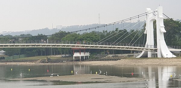 龍潭大池配合污水整治工程,排掉部分池水以利施工。記者鄭國樑/攝影