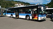 北市推公車紓困　營業車輛每月補助8千元
