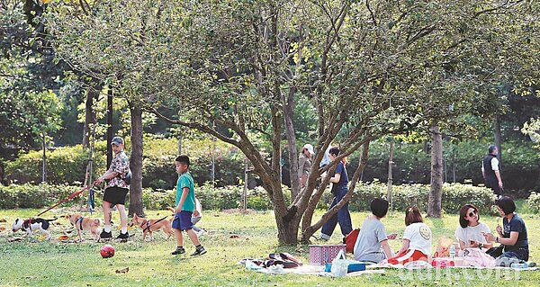 今天天氣好轉;降雨大幅減少。圖/聯合報資料照片