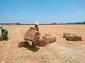 稻草蓆覆蓋工地　台南「亮麗晴空」