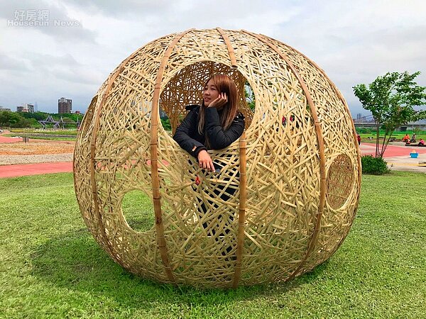 河濱賞絕美地景花海1