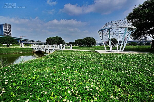 河濱賞絕美地景花海3
