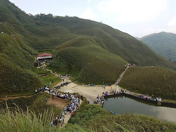 五一連假首日，人潮湧向宜蘭「抹茶山」，次日再現人潮，通往山上的礁溪鄉五峰旗風景區，一早8點啟動停車場管制。資料照／羅東林區管理處提供