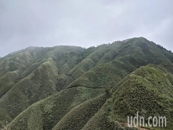 俗稱「抹茶山」的五峰旗3日凌晨被加入「1968」熱點。圖/聯合報系資料照