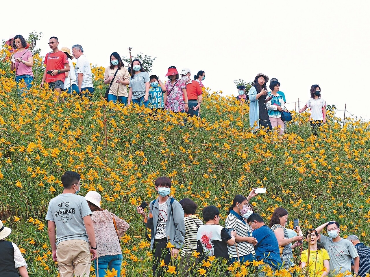 彰化縣花壇鄉虎山巖金針花景點，在塞了兩天後，昨總算列入「1968」熱點，但賞花人潮仍絡繹不絕。 記者劉明岩／攝影