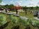神岡第四公墓轉型綠美化公園　預計9月完工