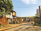 翻轉五股垃圾山　絕育收容浪浪