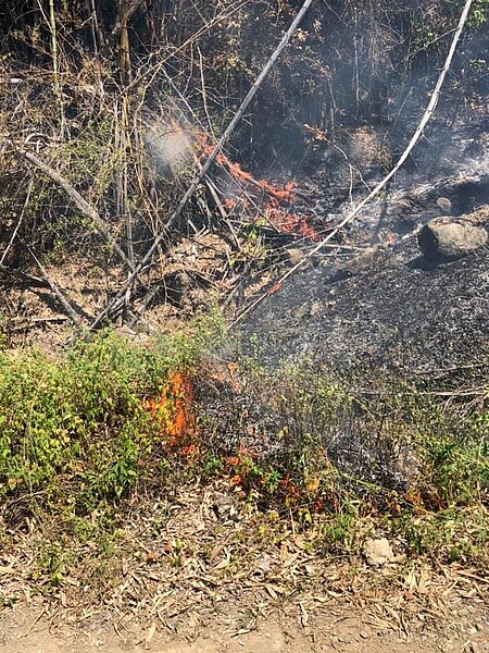 山區乾燥,高雄甲仙已經連續3天發生林地火警。記者徐白櫻/翻攝