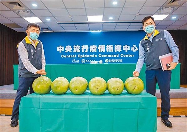衛福部長陳時中（左）1日公布國內連續6天零新增確診病例，記者會現場擺放6顆大西瓜象徵6個0，也帶動大西瓜買氣與價格。（中央流行疫情指揮中心提供）