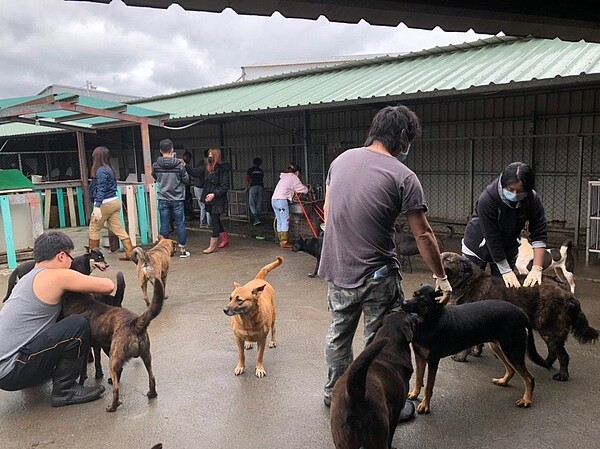 收容300多隻流浪犬貓的五股幼幼保育場面臨拆遷。圖 / 擷取自五股幼幼保育場臉書