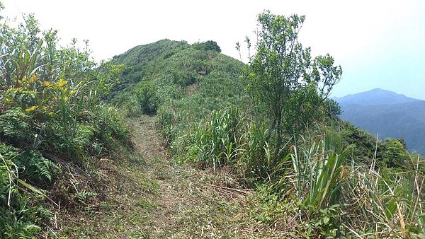 金字碑古道秘境。圖／新北市政府觀光旅遊局提供