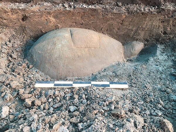 柬埔寨考古團隊在吳哥遺址挖出一巨型烏龜狀雕塑，其內部可能藏有寶藏。圖擷自twitter