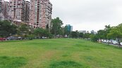 北市2草地擬增設施　民眾：公園不能只是綠地和大樹？