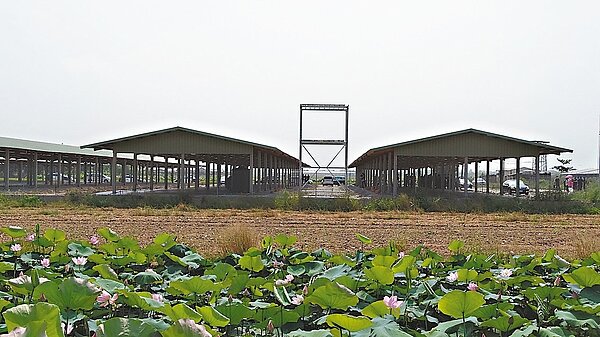 台南市白河區廣蓮里興建大型養雞場,養雞場四周有大片蓮田,居民憂心美麗景致,會因未來可能的惡臭嚇跑遊客。 記者謝進盛/攝影